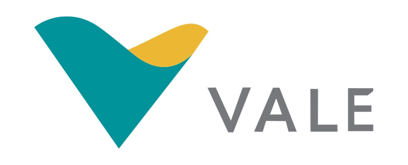Vale client-image